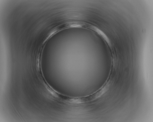 X0000113051194200909031326