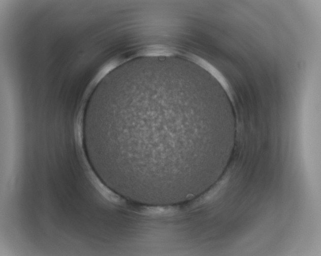 X0000113051195200909031325