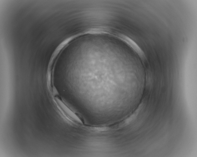 X0000113051196200909031325