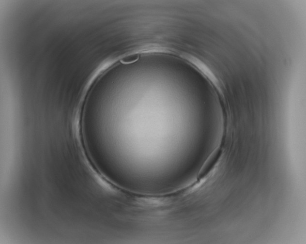 X0000113051197200909031325