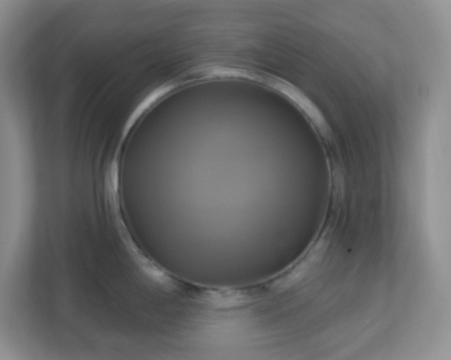 X0000113051198200909031325