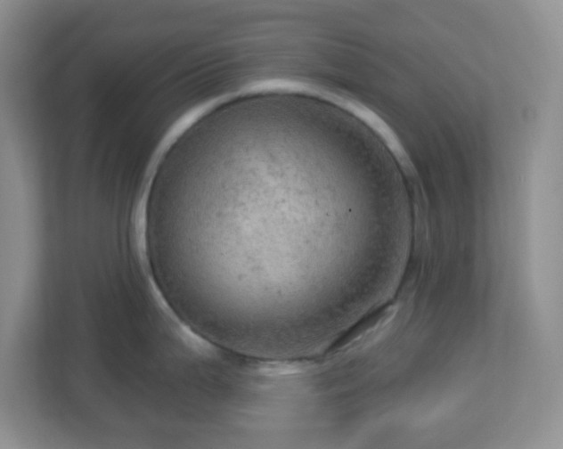 X0000113051199200909031325