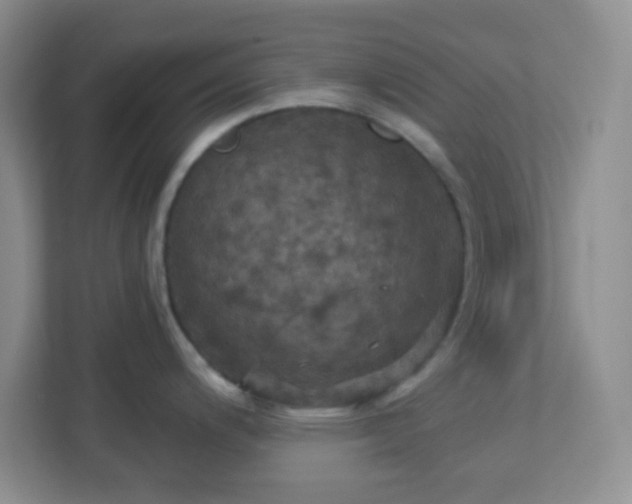 X0000113051200200909031325