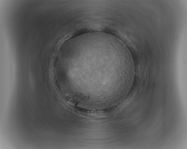 X0000113051201200909031325