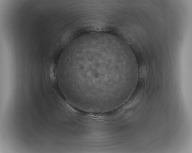 X0000113051202200909031325