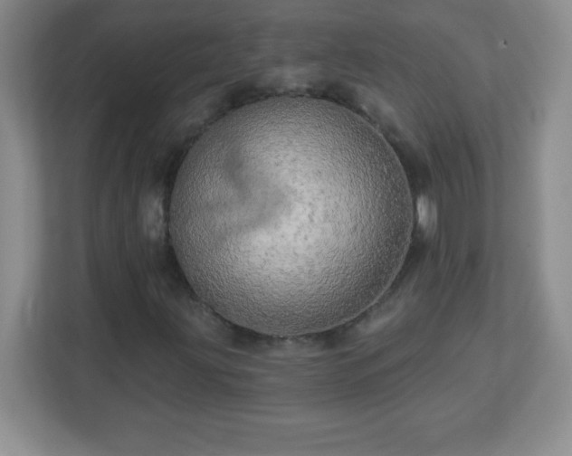 X0000113051203200909031325