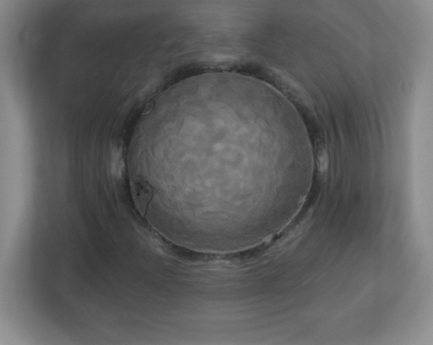 X0000113051204200909031325