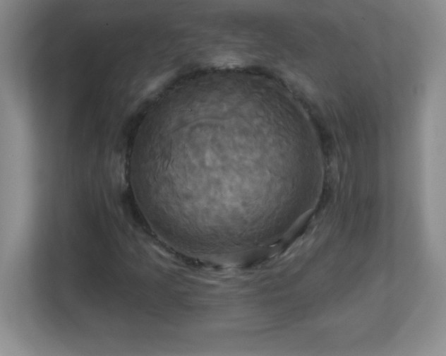 X0000113051205200909031325