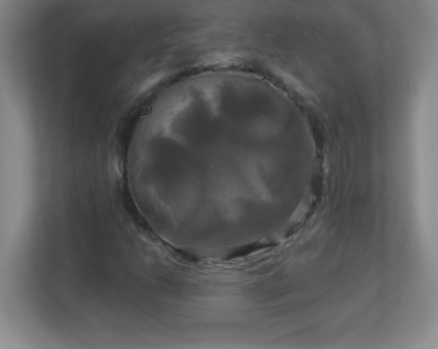 X0000113051206200909031325