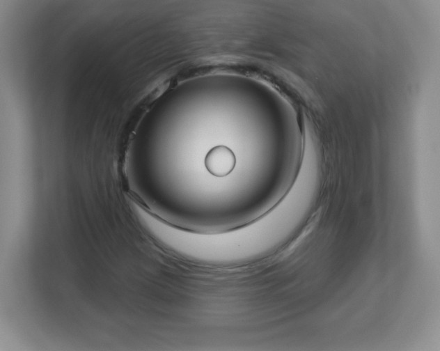 X0000113051209200909031325