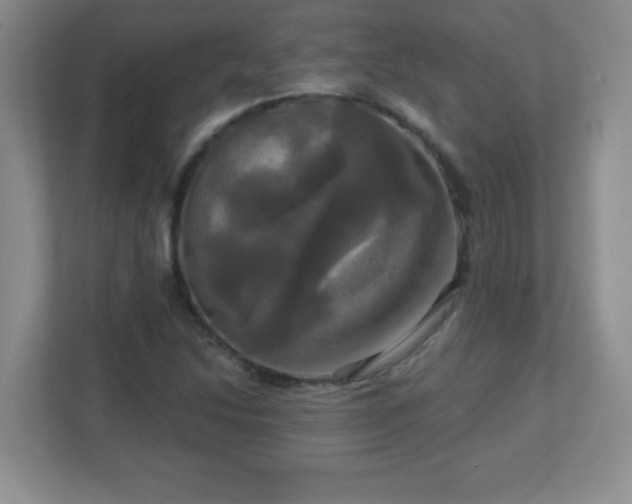 X0000113051214200909031325