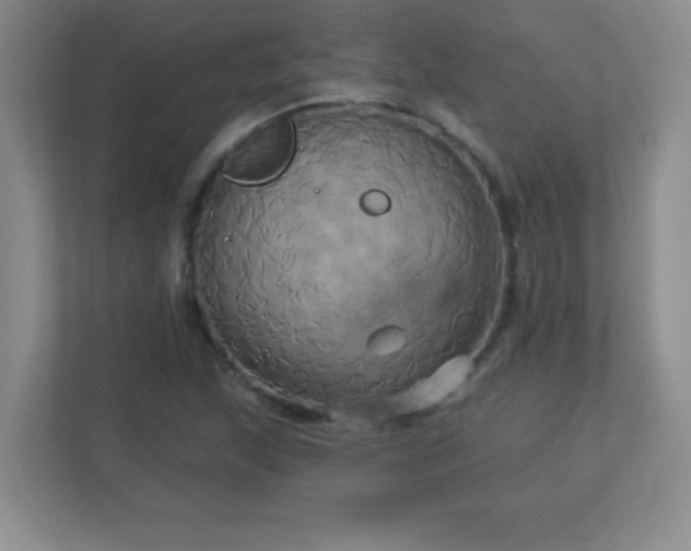 X0000113051215200909031325