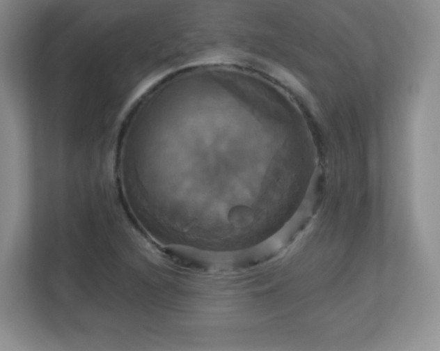 X0000113051216200909031325