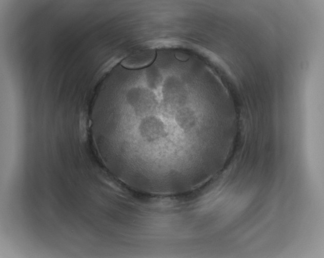 X0000113051217200909031325