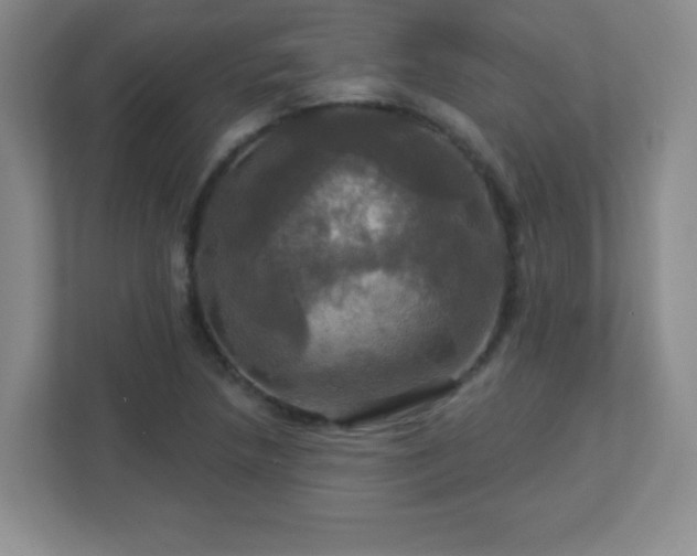 X0000113051218200909031325