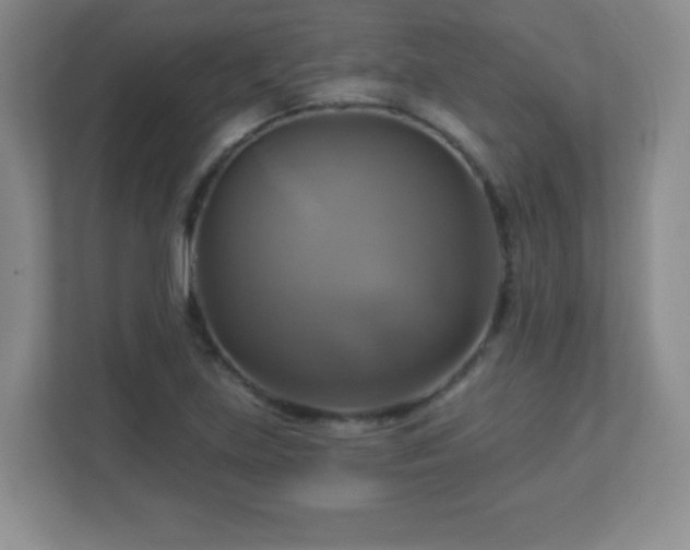 X0000113051219200909031325