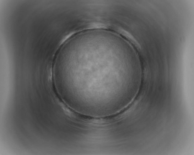 X0000113051220200909031325