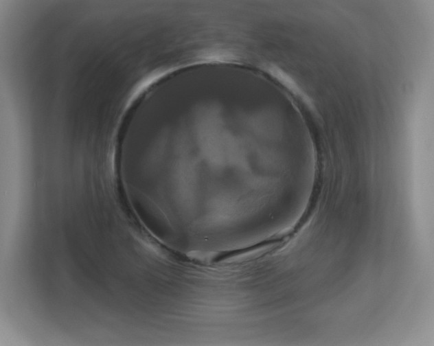 X0000113051222200909031325