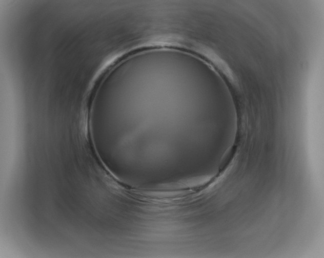 X0000113051224200909031325