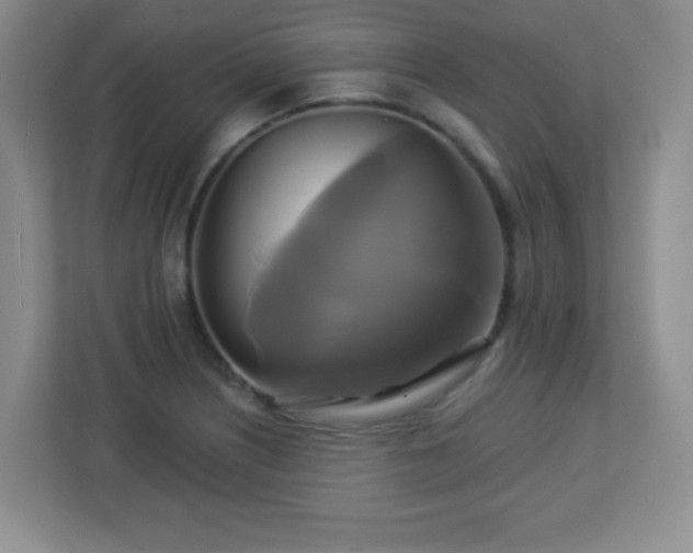 X0000113051226200909031325