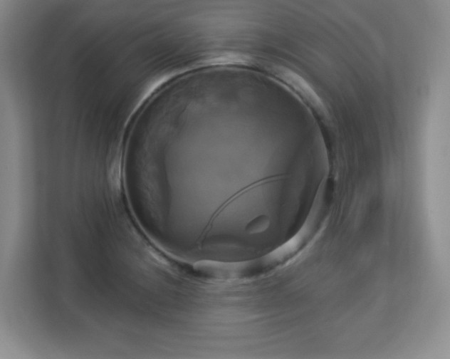 X0000113051228200909031325