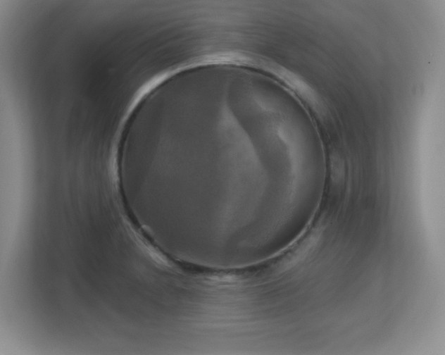 X0000113051230200909031325