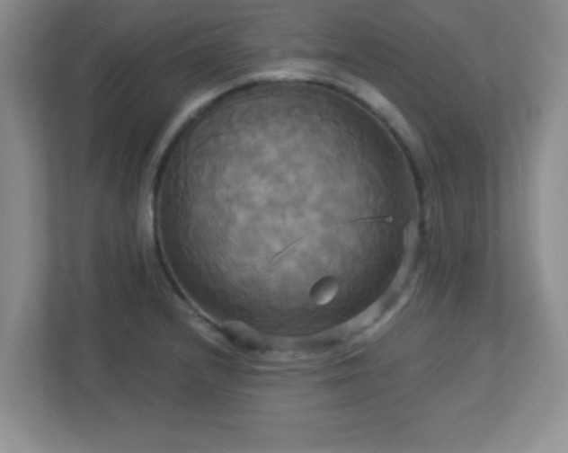 X0000113051232200909031325