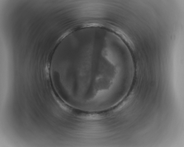 X0000113051233200909031325