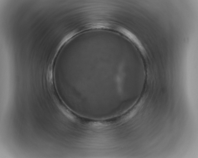 X0000113051234200909031325