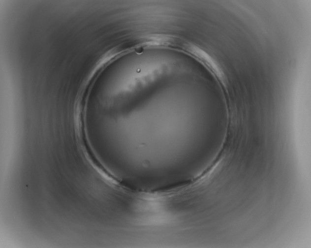 X0000113051235200909031325