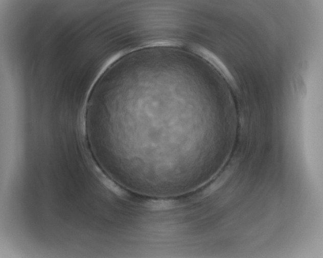 X0000113051236200909031325