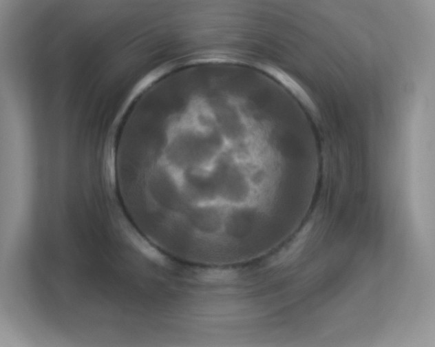 X0000113051238200909031325