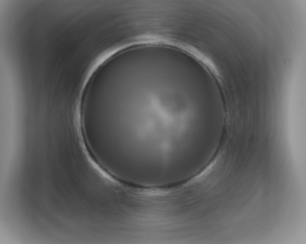 X0000113051239200909031325