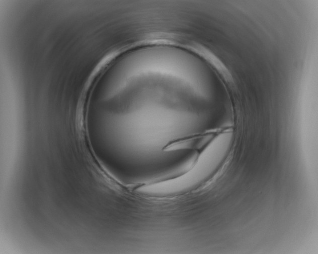 X0000113051240200909031325