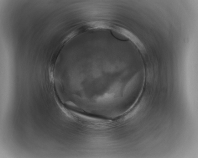 X0000113051241200909031325