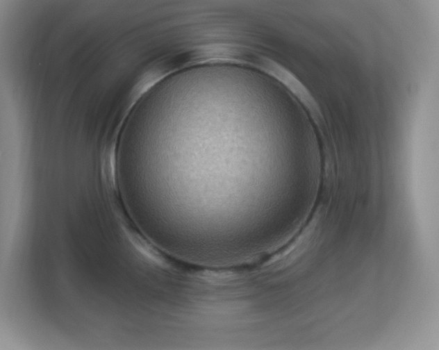 X0000113051242200909031325