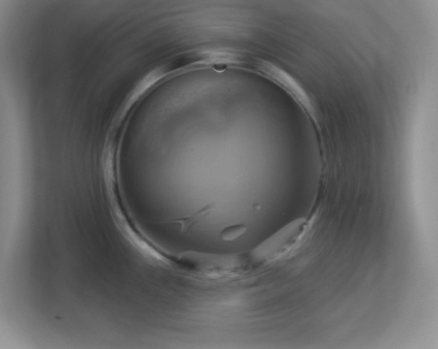 X0000113051243200909031325