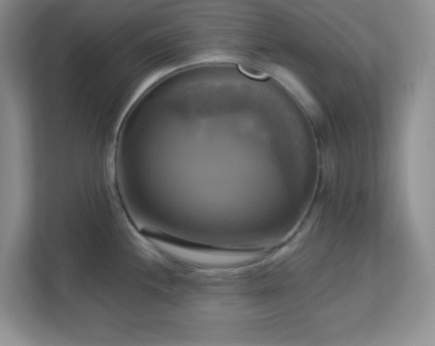 X0000113051244200909031325