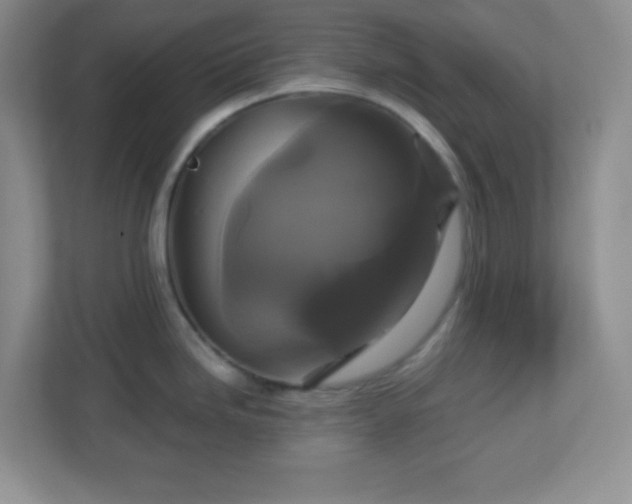 X0000113051246200909031325