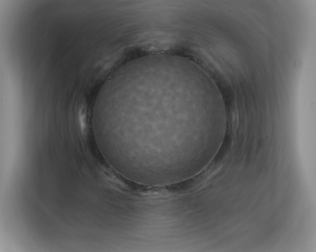 X0000113051250200909031325