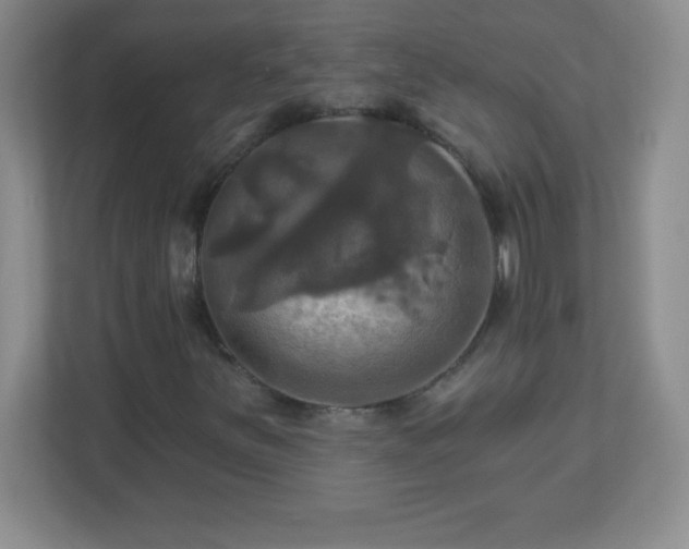 X0000113051251200909031325