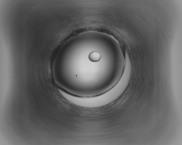 X0000113051252200909031325