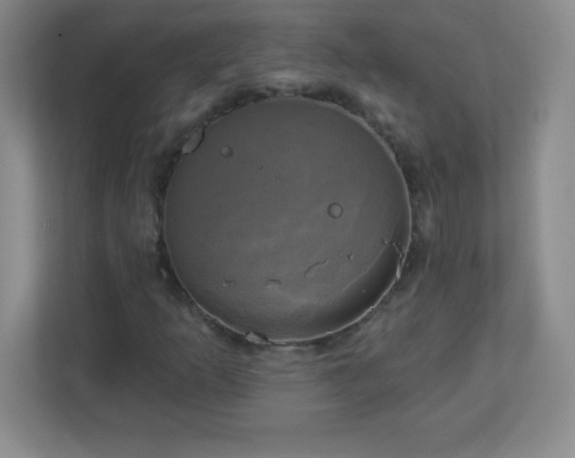 X0000113051253200909031325