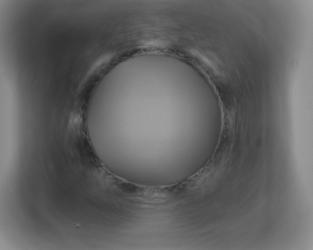 X0000113051254200909031325