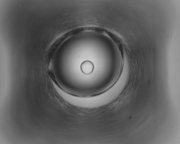 X0000113051255200909031325