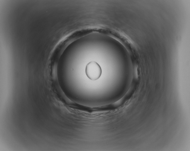 X0000113051256200909031325