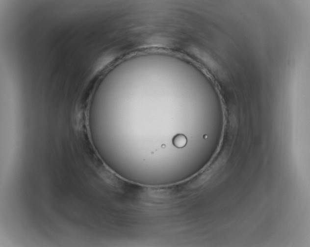 X0000113051258200909031325