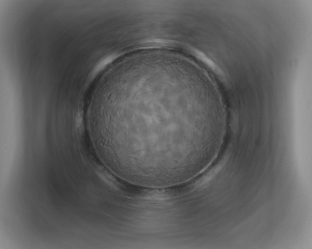 X0000113051259200909031325