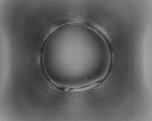 X0000113051260200909031325