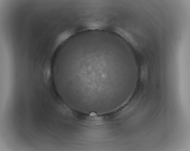 X0000113051261200909031325